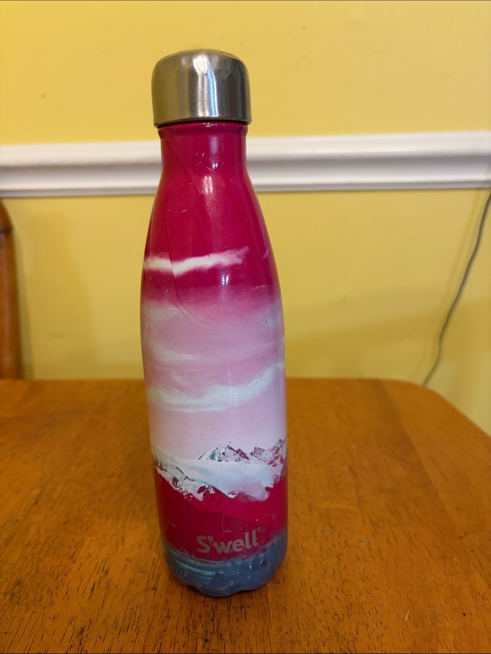 S'well Pink and Blue Mountain Gradient Stainless Steel Bottle